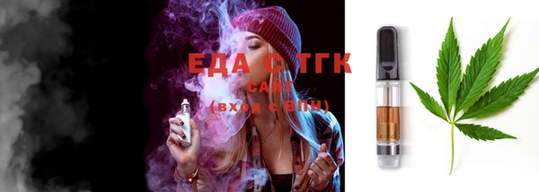 ECSTASY Алзамай