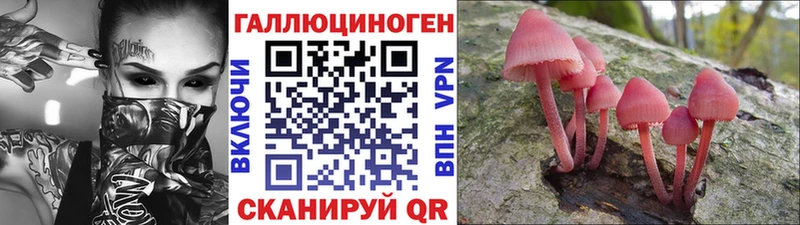 Псилоцибиновые грибы MAGIC MUSHROOMS  где продают   Тула 